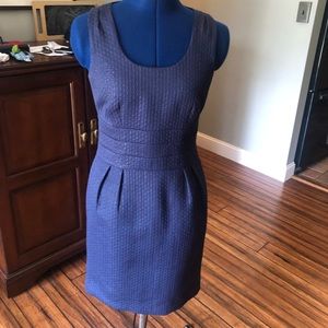 Banana Republic Blue Dress